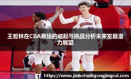 王哲林在CBA赛场的崛起与挑战分析未来发展潜力展望